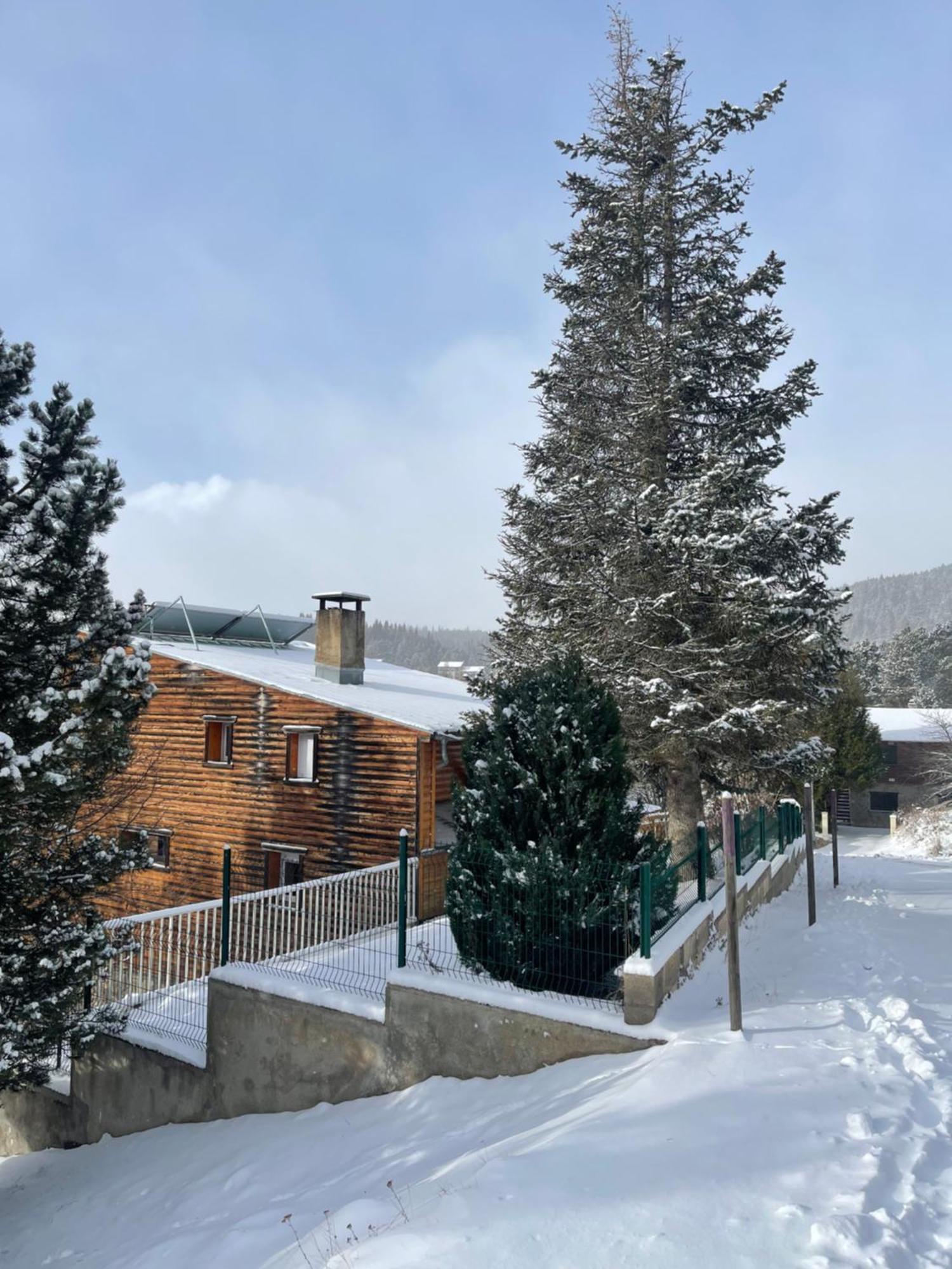 Chalet Isard Pyrenees 2000 - 300M Des Pistes Bolquere Exterior foto